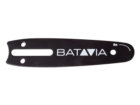 BAT7064350.JPG