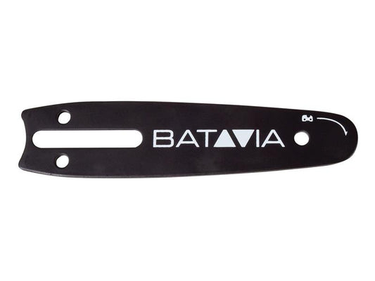BAT7064353.JPG