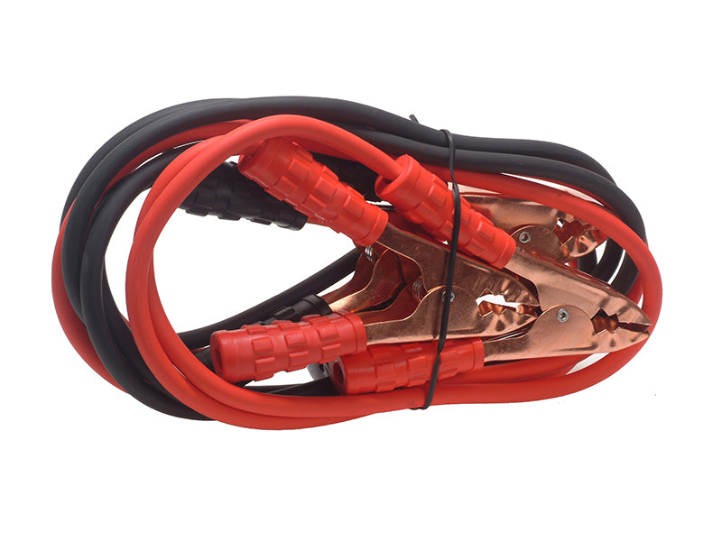 D-ISSJL600.JPG