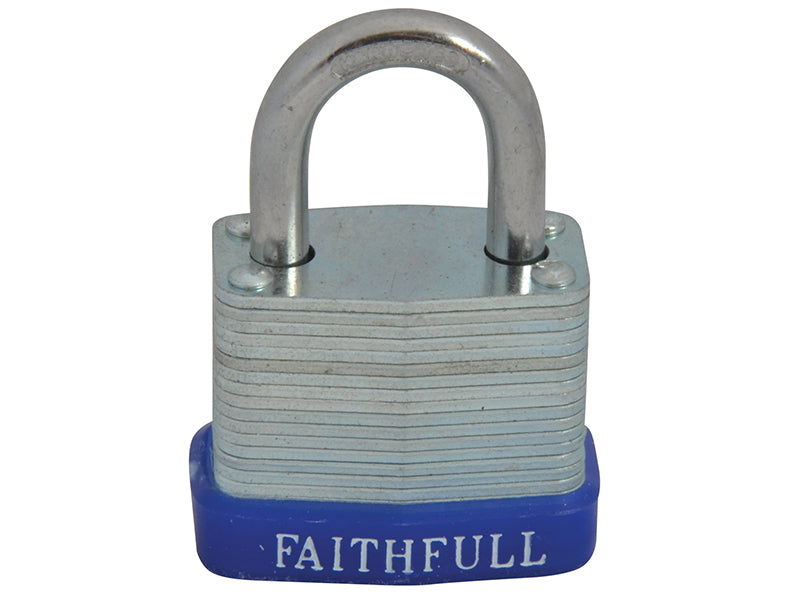FAIPLLAM30.JPG