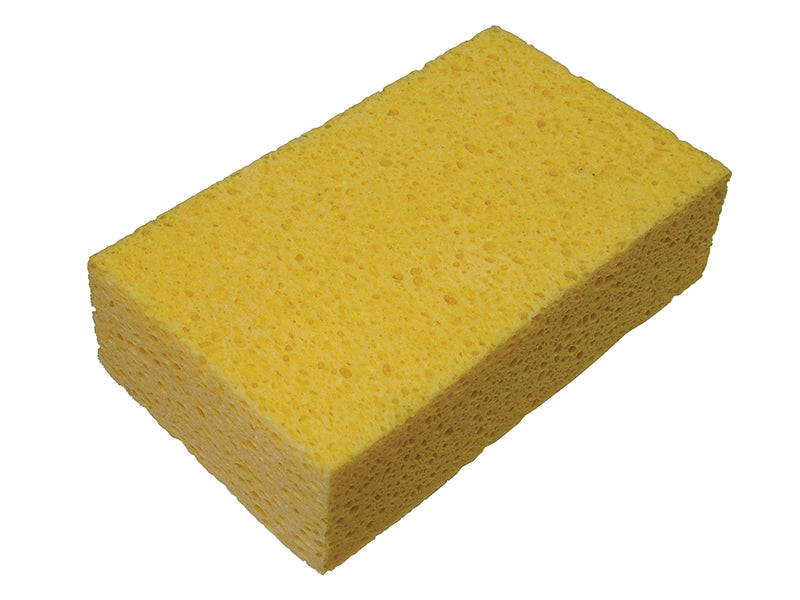 FAITLSPONGE.JPG