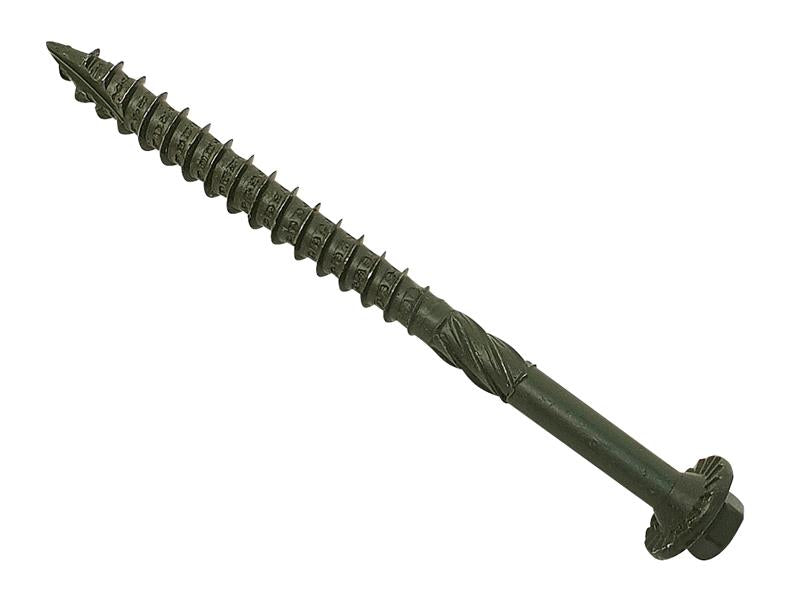 FOR20TF65.JPG