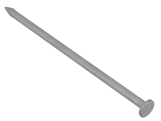 FORB65GB212.JPG