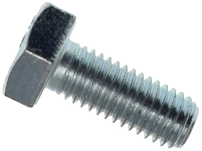 MEMHTS1025.JPG