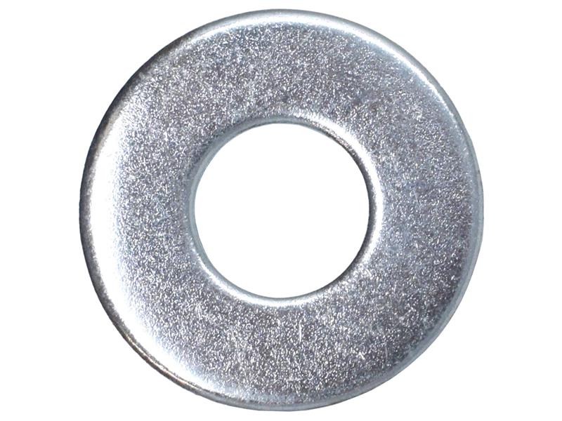 MEMREPW1025.JPG