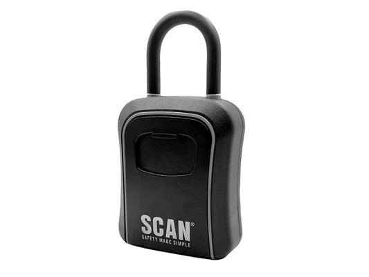 SCAKEYSAFESH.JPG