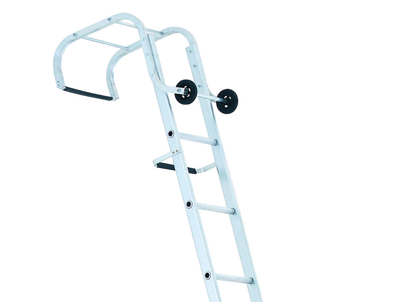 Industrial Roof Ladder