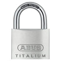ABU64TI45.JPG