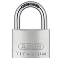 ABU64TI60.JPG