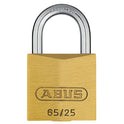 ABU6525.JPG