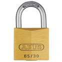 ABU6530.JPG