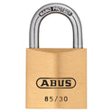 ABU8530C.JPG