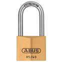 ABU8540LS.JPG