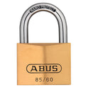 ABU8560.JPG