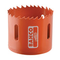 BAH383051C.JPG