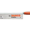 BAHPC10DTR.JPG