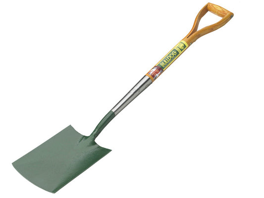BUL5600.JPG