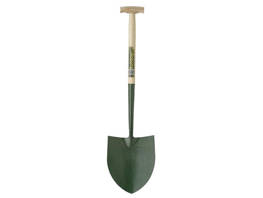 BUL5RM2T.JPG