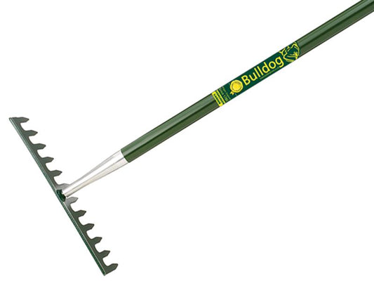 BUL7106.JPG