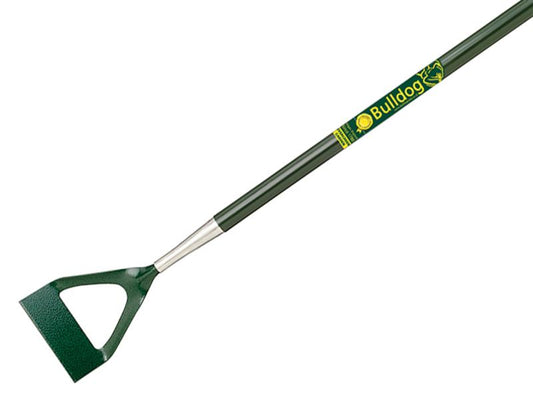 BUL7107.JPG