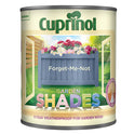 CUPGSFOR1L.JPG