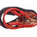D-ISSJL600.JPG