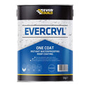 EVBEVCC5L.JPG