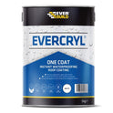 EVBEVCWE5.JPG