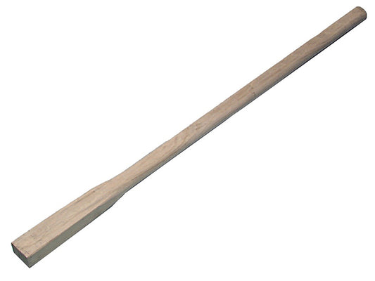 FAIAM42.JPG