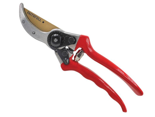 FAICOUBYPRO8.JPG