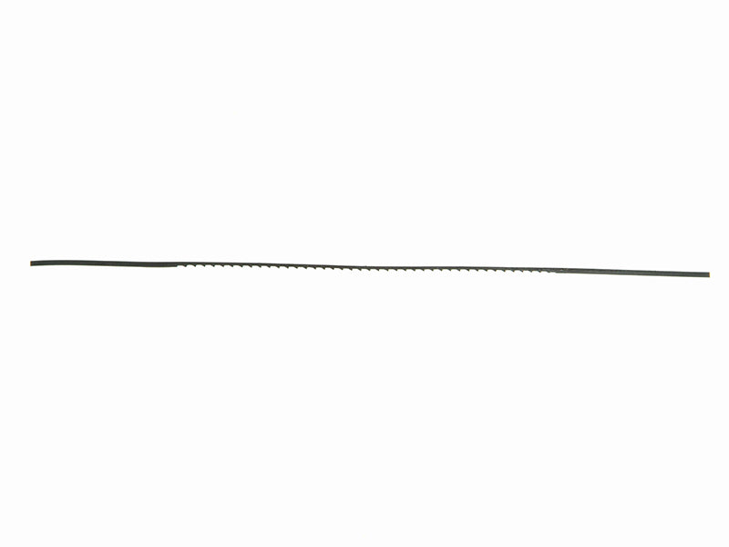 FAIFSB10.JPG