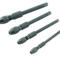FAIPINVICES4.JPG