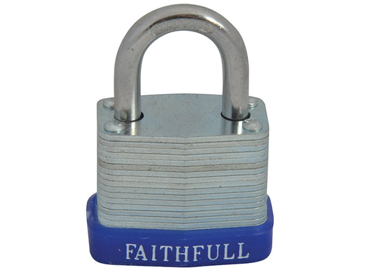 FAIPLLAM30.JPG
