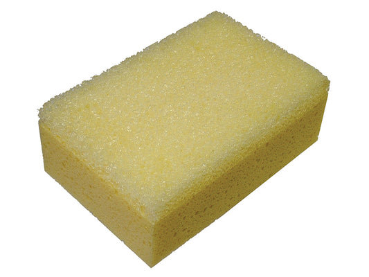 FAITLSPONGEH.JPG