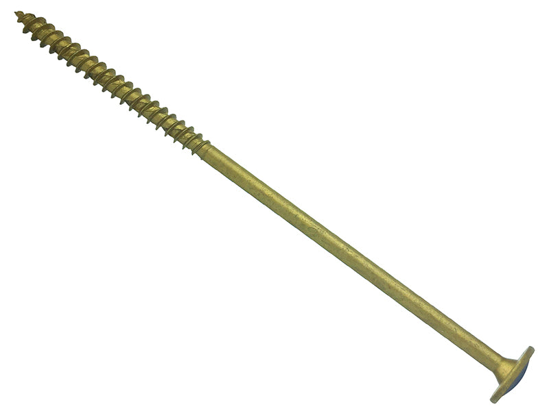 FORCS8240.JPG
