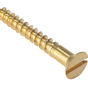 FORCSK11210B.JPG