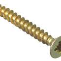 FORMPS545Y.JPG