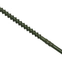 FORSPDS4575G.JPG