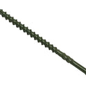 FORSPDS5100G.JPG