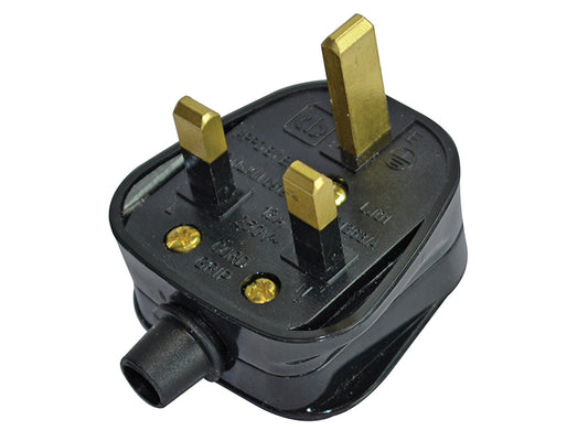 FPPPLUG13R.JPG