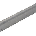 HIL560853.JPG