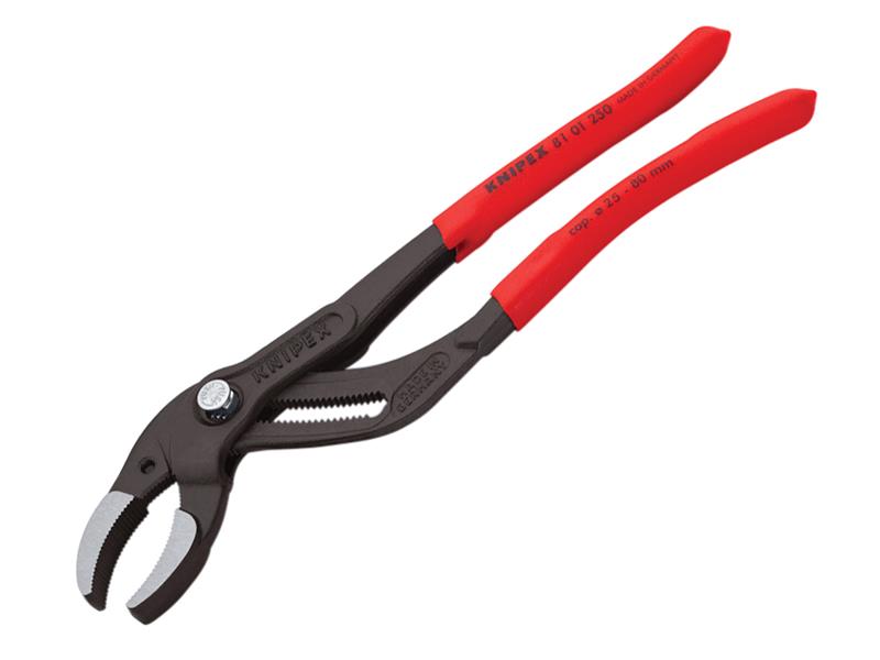 KPX8101250.JPG