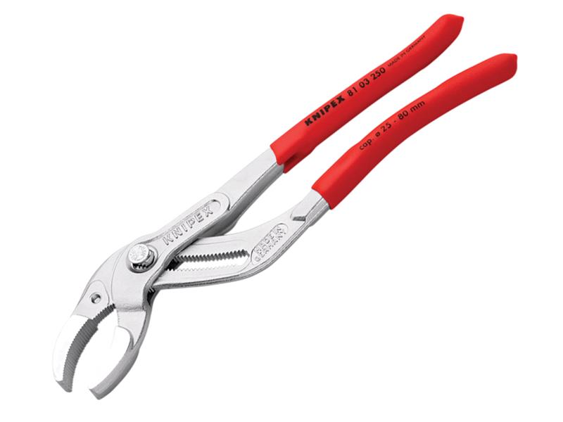 KPX8103250.JPG