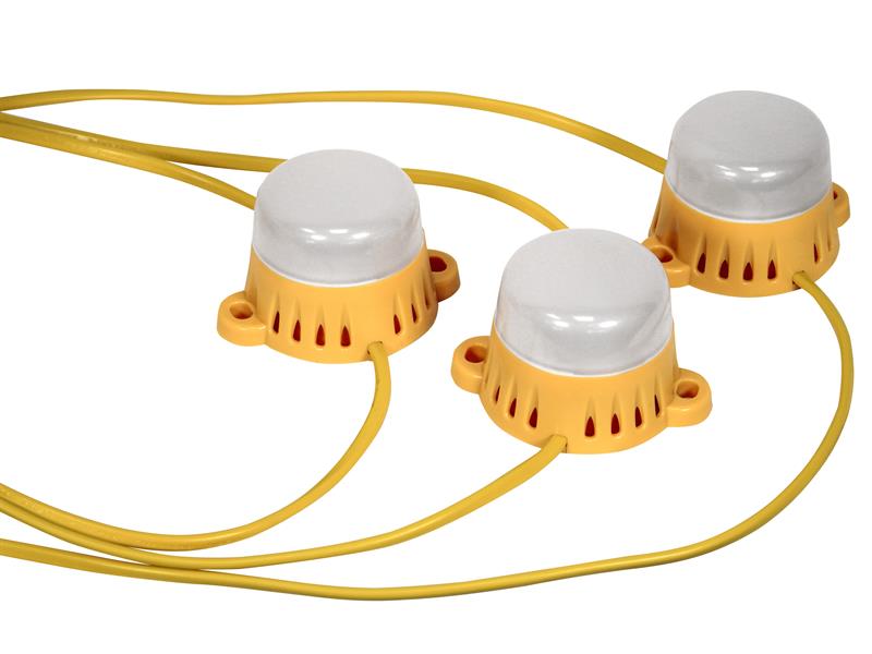 LED Festoon Lights 22M 10 Bulbs 110V