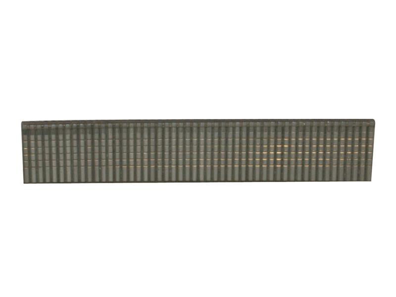 MAKF33948.JPG