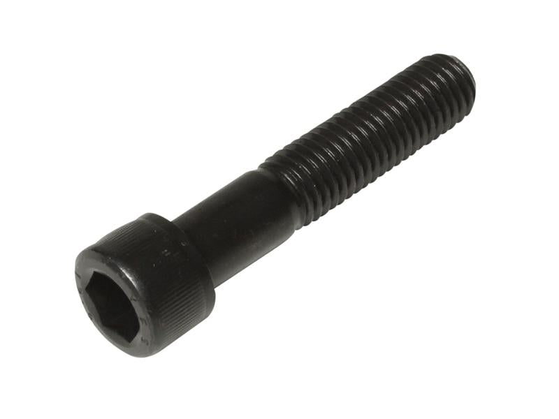 MEMSCAP416.JPG