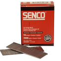 SENRX15EAA.JPG