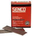 SENRX19EAA.JPG