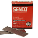 SENRX21EAA.JPG