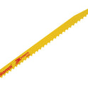 STRBT1235.JPG